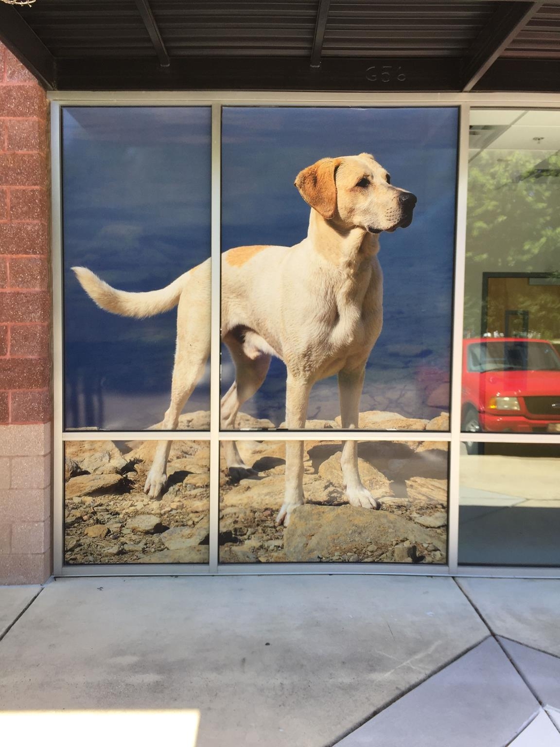 Outdoor Window Graphic with Dog