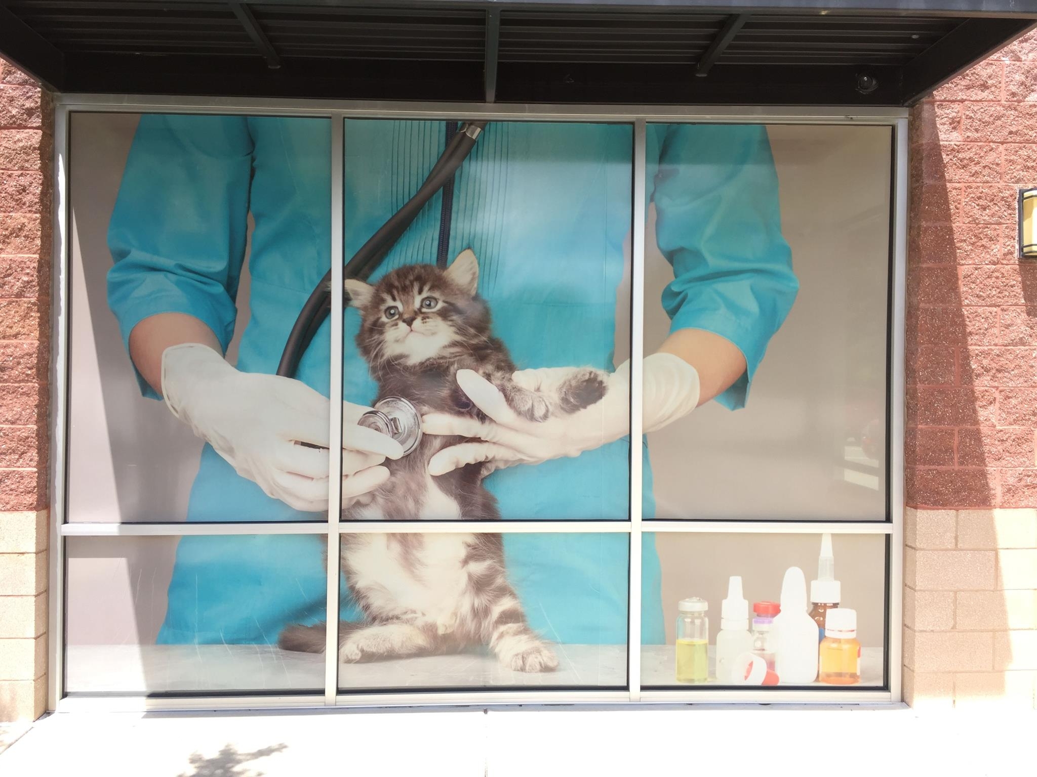 Vinyl Graphics on Veterinary Clinic Window
