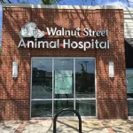 Illuminated Channel Letter Of Walnut Street Animal Hospital Made By Elite Custom Signs